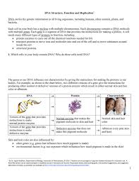 Learn vocabulary, terms and more with flashcards, games and other study tools. Chargaff S Rule For Base Pairing In Dna Is That Quizlet