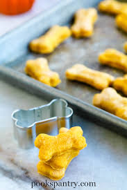 Homemade training dog treat recipes. Soft Pumpkin Dog Treats Pook S Pantry Recipe Blog