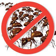 Pest Management Sops For Food Processing Plants And The Importance Of Fsma