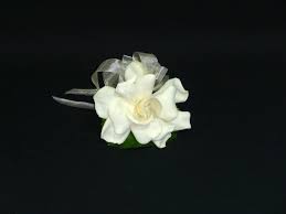 Echa un vistazo a nuestra selección de wholesale flowers para ver las mejores piezas hechas a mano, únicas o personalizadas de nuestras tiendas. Flowerfuison Wedding Fresh Flowers Serving Orange County 355 Bristol St Costa Mesa California 92626 7 Flower Centerpieces Bridal Flowers Flowers