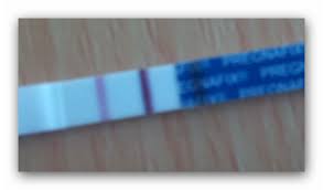 Das heißt, der test ist trotz einer schwangerschaft negativ. Schwangerschaftstest Von Pregnafix Ist Der Gut Schwangerschaft Schwanger Test