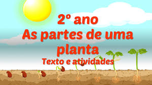 Os seres vivos dependem de outros componentes do meio ambiente para viver. 2Âº Ano As Plantas Texto E Atividades Ensinar Hoje