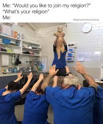 Instagram Post By Light Witch Tarot Shop Mar 8 2020 At 7 42pm Utc Cats New Church Memes