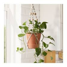 Anvandbar Blumenampel Fur Topf Hangend Naturfarben Ikea Deutschland Hanging Plant Holder Hanging Plants Plant Holders