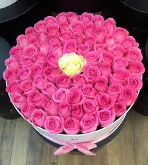 Ddrsongs brings you the highest quality versions of your favorite dance dance revolution songs. Pink White Roses Bouquet Online Flower Shop Best Flower Delivery Dubai