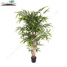 You can try to contain it at planting time by sinking strong plastic barriers around the planting area at least 30 inches deep and 3 inches its close kin includes two other popular houseplants: China High Quality Bamboo Dead Tree With Pot Artificial Decoration Plant China Bamboo Tree And Artificial Tree Price