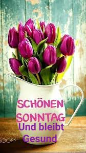Pin Von Ildiko Maria Rodel Auf Sonntag In 2020 Guten Morgen Sonntagsgrusse Sonntagsgrusse Bilder
