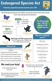 Etlobest Esa This Is An Amazing Source That I Would Like To Use With My Fifth G Endangered Species Endangered Species Activities Endangered Species Project