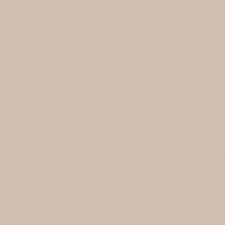 Schoner wohnen wandfarbe naturell muschelgrau matt 2 5 l kaufen. Absolute Matt Emulsion Von Little Greene Kaufen