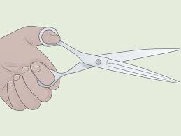 Maybe you would like to learn more about one of these? How To Hold Scissors 7 Steps With Pictures Wikihow