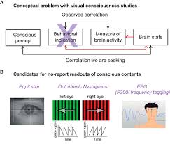 Consciousness at its simplest is sentience or awareness of internal or external existence. Consciousness Regained Disentangling Mechanisms Brain Systems And Behavioral Responses Journal Of Neuroscience