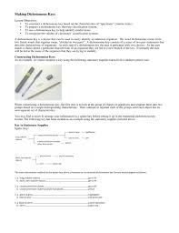 Dichotomous key worksheet with answers dichotomous key worksheets answers. Making Dichotomous Keys