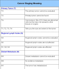 Lung Cancer Staging Gadget