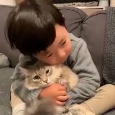 Sirin Bir Kedi Ve Sevimli Cocugun Sevgi Dolu Duygusal Baglari Catofistanbul Sevimlikedi Mutlu Cute Baby Animals Cute Funny Animals Baby Animals Funny