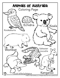 Platapus, platypuse, platipus, platypysduck billed platypus. Australia Animals Coloring Page Woo Jr Kids Activities