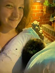 I Wanted to share (with you this lovely group) a precious memory from this  year…the first year I've planted up my front garden!! I've had frogs,  foxes, hedgehogs, robins, chaffinches, blackbirds, wallows,