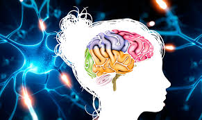 Cambios Cognitivos: Este cambio no es uniforma en la edad adulta madura, ya que implica perdidas y ganancia  en diferentes ha