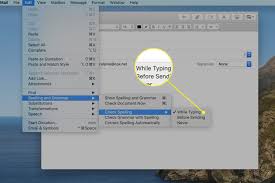 Do any of the following: The Mac S Automatic Spelling Correction