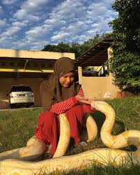 Check spelling or type a new query. Gadis 14 Tahun Pelihara Enam Ekor Ular Sawa Gergasi Di Rumah Kosmo Digital