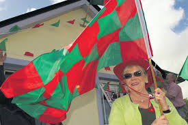 Unflagging Mary is no half-hearted Mayo supporter