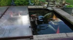 We would like to show you a description here but the site won't allow us. Prepairing The Koi Pond For Winter Youtube