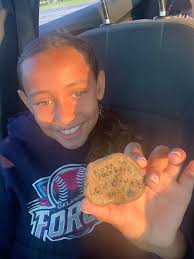 Any information about the Henes and Spies Library area?