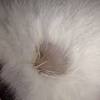 The reason our cat is shedding more than usual could be down to parasites, poor nutrition or even stress. Https Encrypted Tbn0 Gstatic Com Images Q Tbn And9gctzs Euqx0nkqduawa1ithgmjkl9dispyzwyiwwcwzl8pquhmcr Usqp Cau