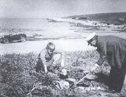 джеральд даррелл моя семья и другие звери краткое содержание Moya Semya I Zveri Kratkoe Soderzhanie Po Glavam