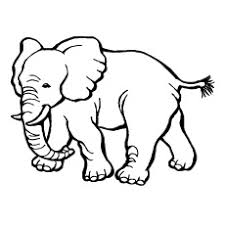 Sep 21, 2021 · free printable coloring pages of zoo animals. Top 25 Free Printable Zoo Coloring Pages Online