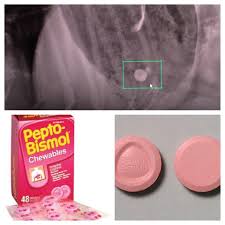 You can have another dose after 30 to 60 minutes, if you need to. Do Not Give Your Pet Chewable Pepto Bismol Tablets They Do Not Dissolve Only Liquid Or Caplets Are Ok This X Ray Shows Pepto Bismol Tablets Pepto Veterinary