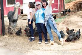 Morning Song Farm A Great Family Friendly Vacation In Southern California