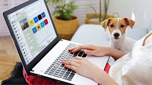 Opera mini for pc:there may be different choices to choose from regarding selecting a legitimate browser for versatile surfing. Whatsapp Web Knowledge Hub And Faq Blog Opera Tips Tricks