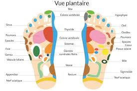 Librivox is a hope, an experiment, and a question: Mieux Comprendre La Reflexologie Plantaire Et Ses Bienfaits