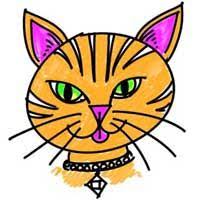 How To Draw A Cartoon Cat Face Step By Step How To Draw A Cartoon Cat Face Simple Cat Drawing Dog Face Cat Face