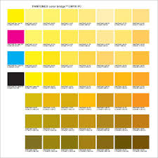 Free 6 Sample Pantone Color Charts In Pdf Word