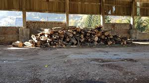 PreÅ£ul Lemnului De Foc A Explodat Magazinele De Specialitate Vand Deja Metrul Ster Intre 347 Si 455 De Lei AflÄƒ Care Sunt PreÅ£urile Pe PiaÅ£a LiberÄƒ RÄƒsunetul