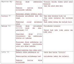 In english grammar, verbs are one of the nine parts of speech. Nutrisi Tanaman Myagri Com Mymyagri Com My Study
