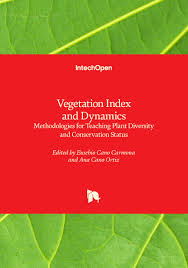 Image result for Blepharis swaziensis