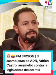 Adrian Castro Ayala Unam