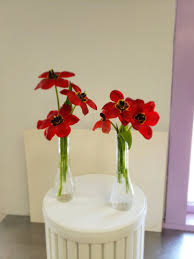 Check spelling or type a new query. Ramone S Flowers Ramonesflowers Twitter