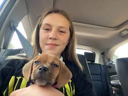 We wanted to properly introduce Millie, she is our newest addition to the  family! We are so lucky to have her and can't wait to continue sharing her  journey with us. She