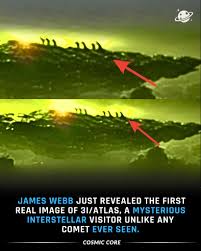 Usul has called a big one 😂 🐛