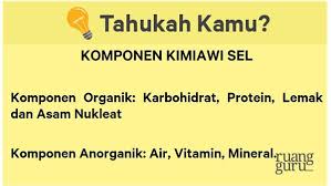 Tes protein plasma adalah tes darah yang mendeteksi jumlah protein dalam darah. Apa Saja Komponen Kimiawi Dalam Sebuah Sel Biologi Kelas 11