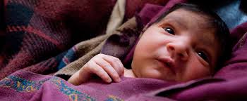 How corruption in healthcare service delivery threatens Universal Health  Coverage