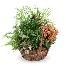 Check spelling or type a new query. Raymond Ellis Landreth Obituary Lagrange Ga Higgins Lagrange Chapel
