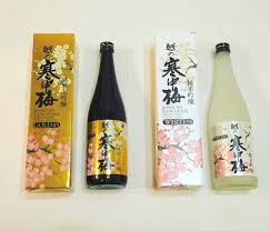 大竹彩奈 Ayana Otake