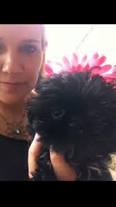 Cristy Jane Cate (@cristycate22) • Instagram photos and videos