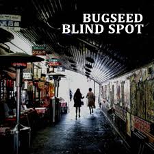 It makes no distinction between photography and art—quality is the main concern. Blind Spot Album By Bugseed Spotify
