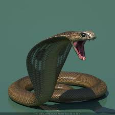 3d Model Cobra Snake 3d Model Cobra Snake Snake Photos King Cobra Snake