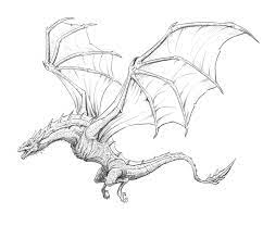 Pin On Dragon